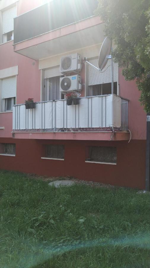 Appartamento Intero Bilocale Vicino All'Ospedale Padova Kültér fotó